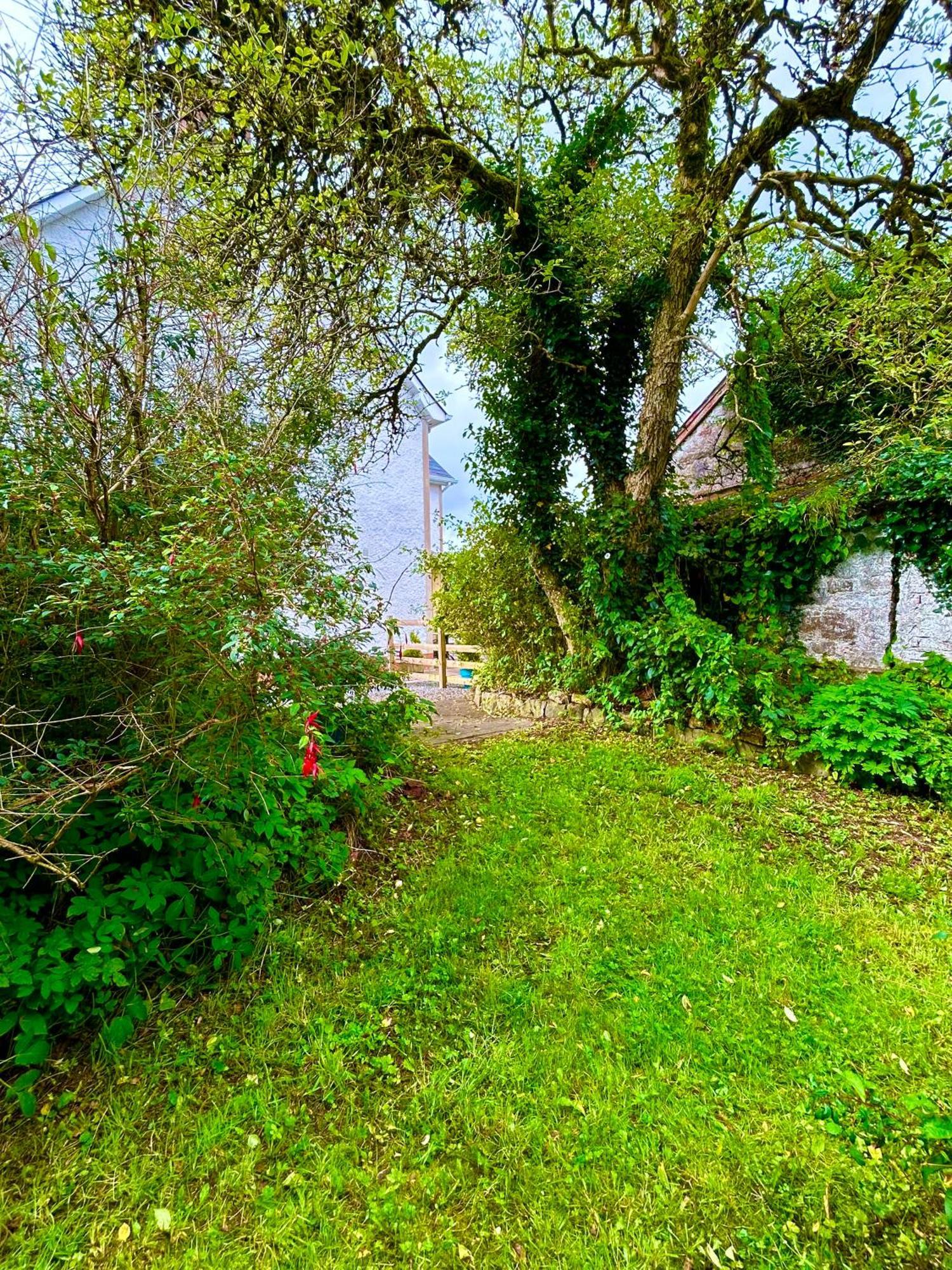 Villa Lime Tree House Maguires Bridge Exterior foto